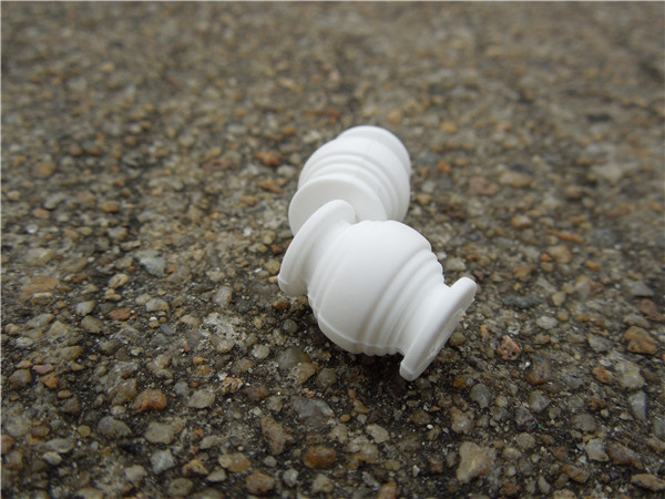 DSCN5046.jpg