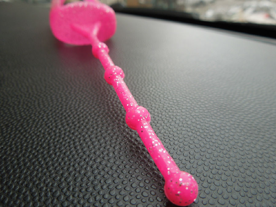 DSCN5455.JPG